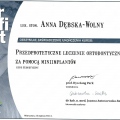 Powiększ obraz: certificate 2