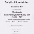 Powiększ obraz: certificate 1
