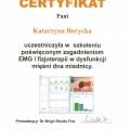 Powiększ obraz: certificate 6