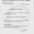 Powiększ obraz: certificate 12