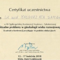 Powiększ obraz: certificate 5