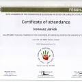 Powiększ obraz: certificate 4