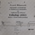 Powiększ obraz: certificate 9
