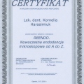 Powiększ obraz: certificate 13