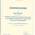 Powiększ obraz: certificate 19