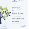 Powiększ obraz: certificate 2