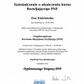 Powiększ obraz: certificate 6