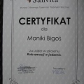 Powiększ obraz: certificate 33