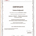 Powiększ obraz: certificate 11
