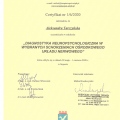 Powiększ obraz: certificate 15