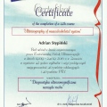 Powiększ obraz: certificate 26