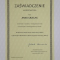 Powiększ obraz: certificate 2