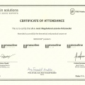 Powiększ obraz: certificate 34