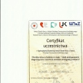 Powiększ obraz: certificate 19