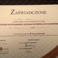 Powiększ obraz: certificate 29