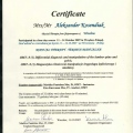 Powiększ obraz: certificate 21