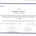 Powiększ obraz: certificate 3