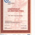 Powiększ obraz: certificate 12