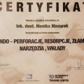 Powiększ obraz: certificate 11