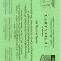 Powiększ obraz: certificate 1