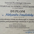 Powiększ obraz: certificate 1