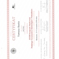 Powiększ obraz: certificate 23