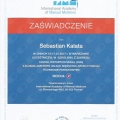 Powiększ obraz: certificate 9