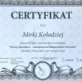 Powiększ obraz: certificate 11
