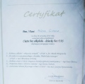 Powiększ obraz: certificate 10