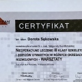 Powiększ obraz: certificate 16