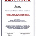 Powiększ obraz: certificate 25