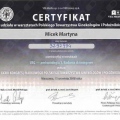 Powiększ obraz: certificate 7