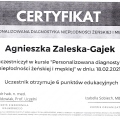 Powiększ obraz: certificate 15