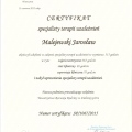 Powiększ obraz: certificate 11