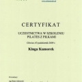 Powiększ obraz: certificate 30