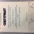 Powiększ obraz: certificate 4