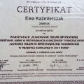 Powiększ obraz: certificate 2