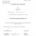 Powiększ obraz: certificate 13