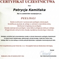 Powiększ obraz: certificate 12