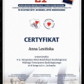 Powiększ obraz: certificate 11