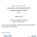 Powiększ obraz: certificate 1