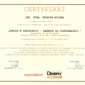 Powiększ obraz: certificate 2