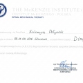 Powiększ obraz: certificate 6