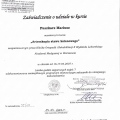 Powiększ obraz: certificate 7