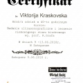 Powiększ obraz: certificate 4