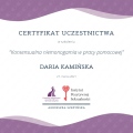 Powiększ obraz: certificate 2