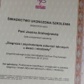 Powiększ obraz: certificate 3