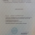 Powiększ obraz: certificate 9