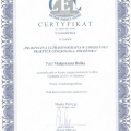 Powiększ obraz: certificate 8