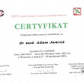 Powiększ obraz: certificate 62